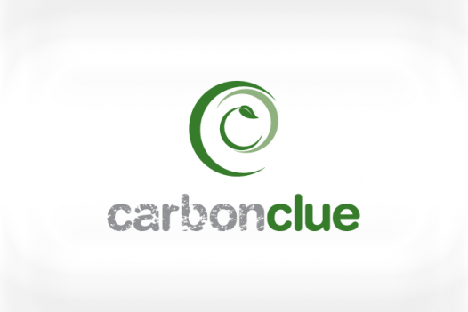 Carbon Clue